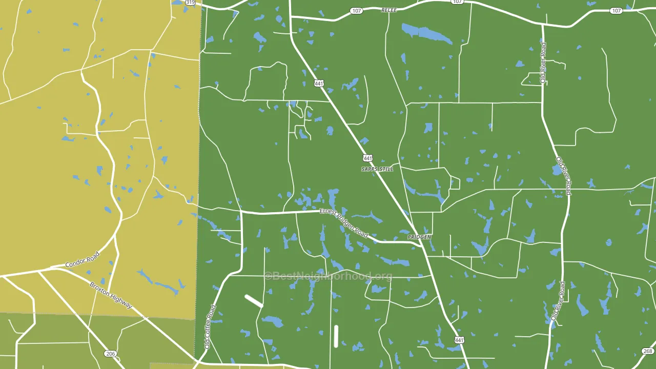 Pridgen, GA block-group voter-turnout map