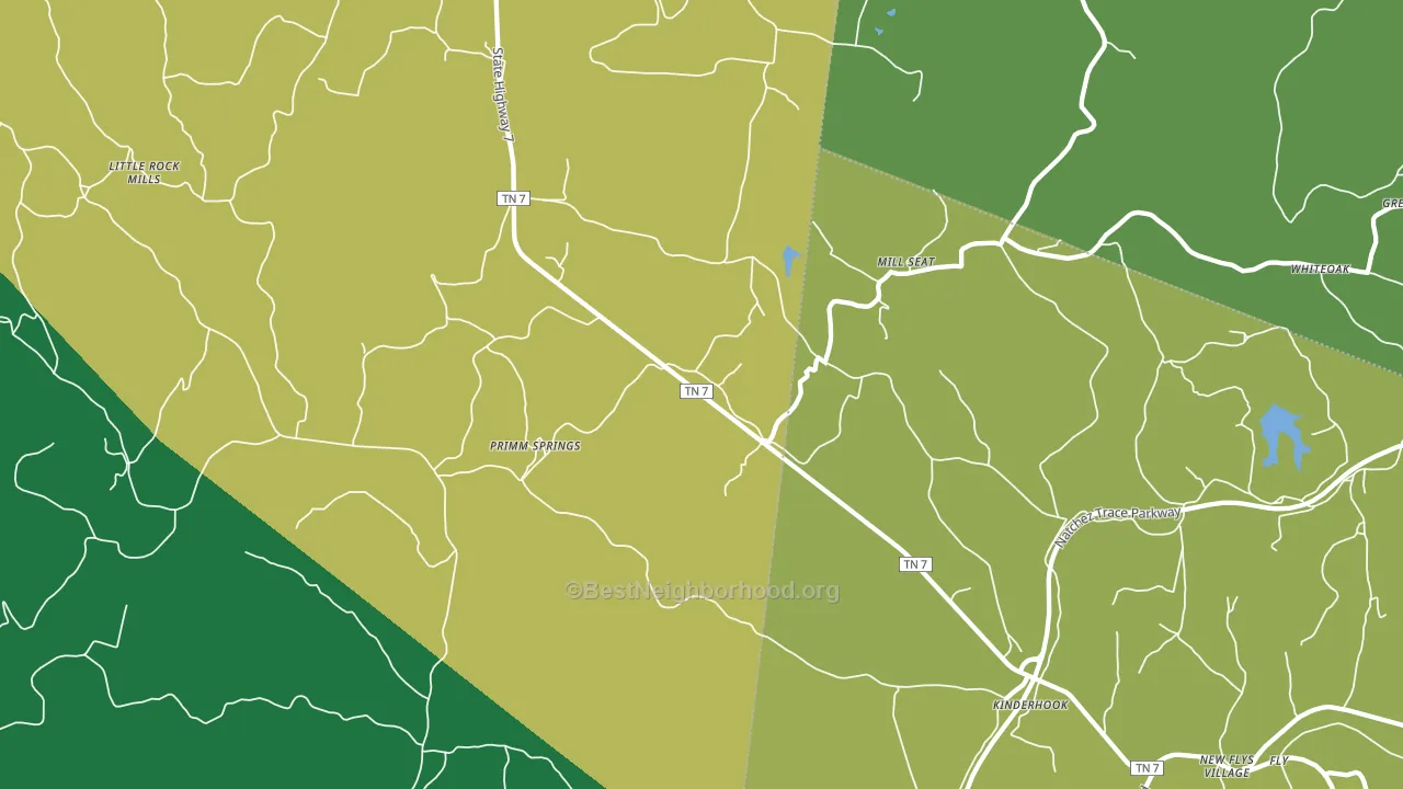 Primm Springs, TN block-group voter-turnout map