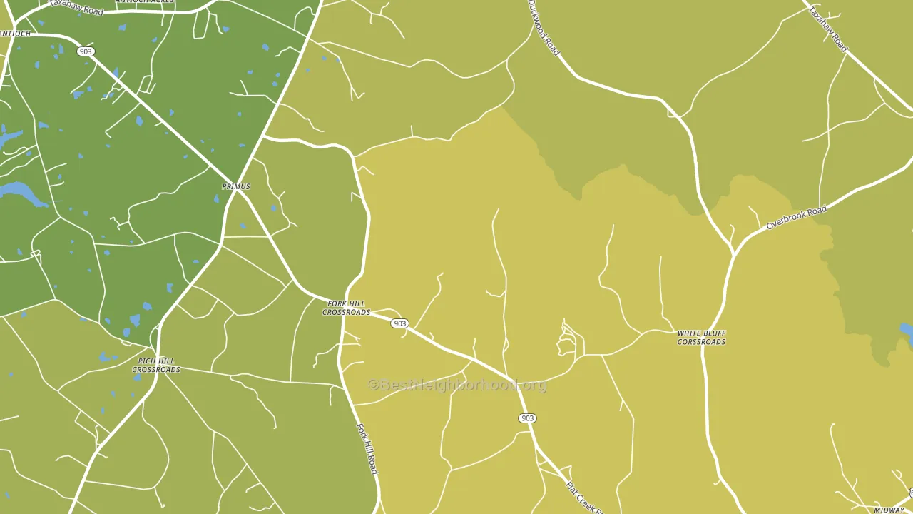 Primus, SC block-group voter-turnout map