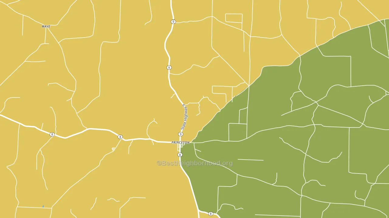 Princeton, AR block-group voter-turnout map