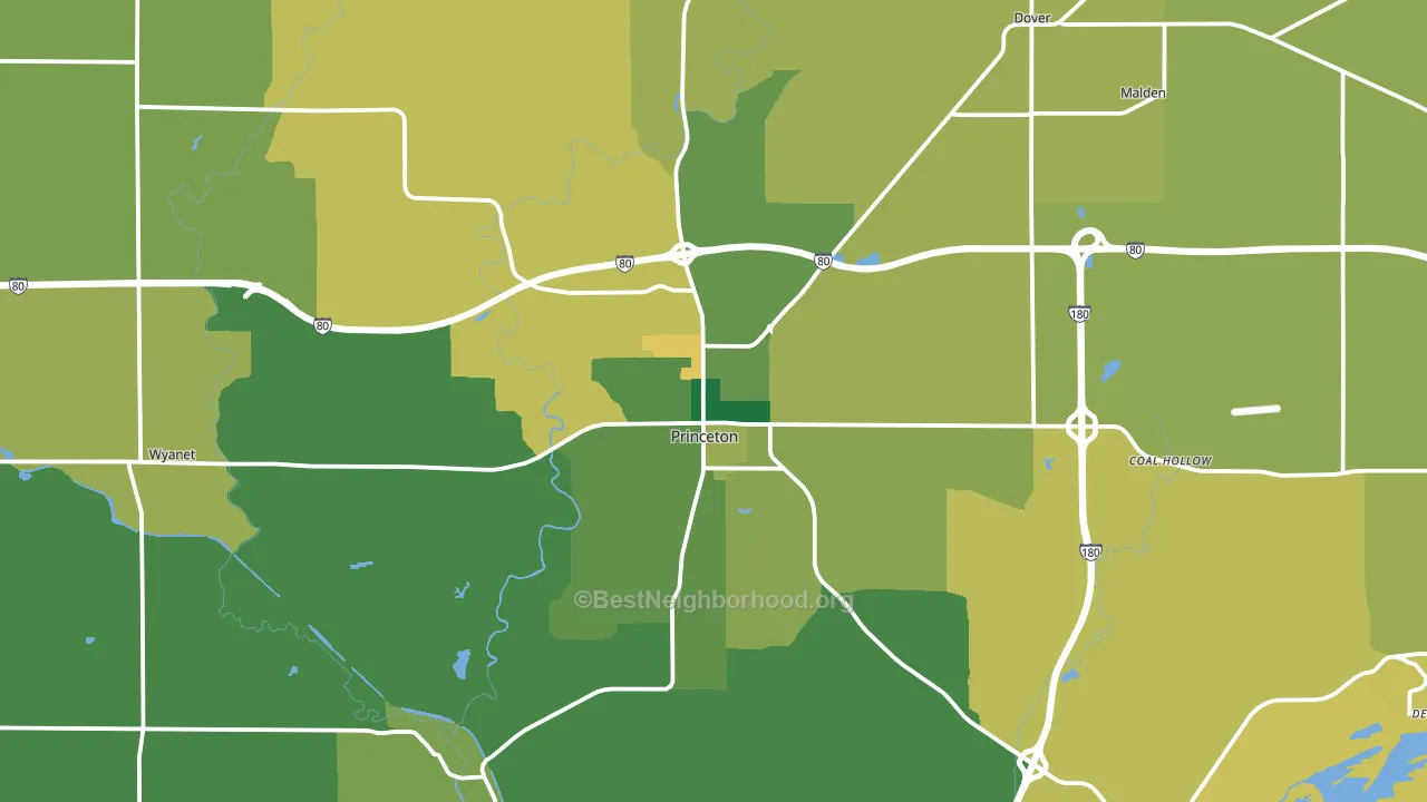 Princeton, IL block-group voter-turnout map