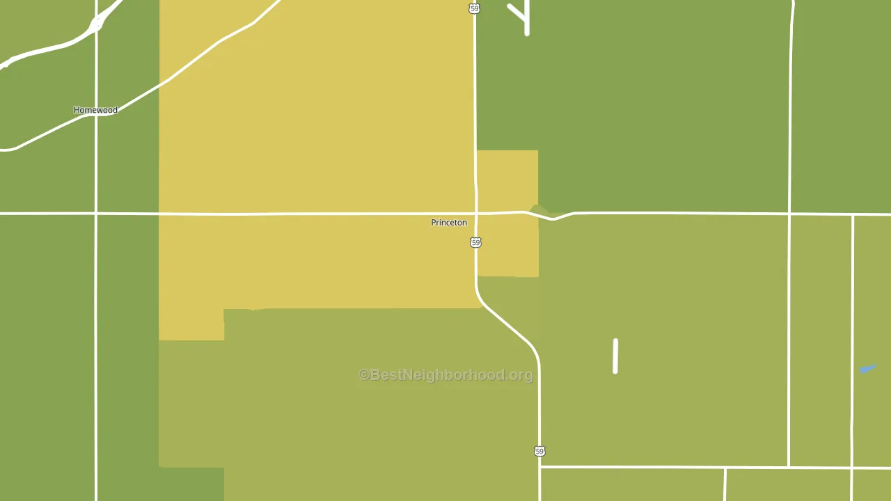 Princeton, KS block-group voter-turnout map