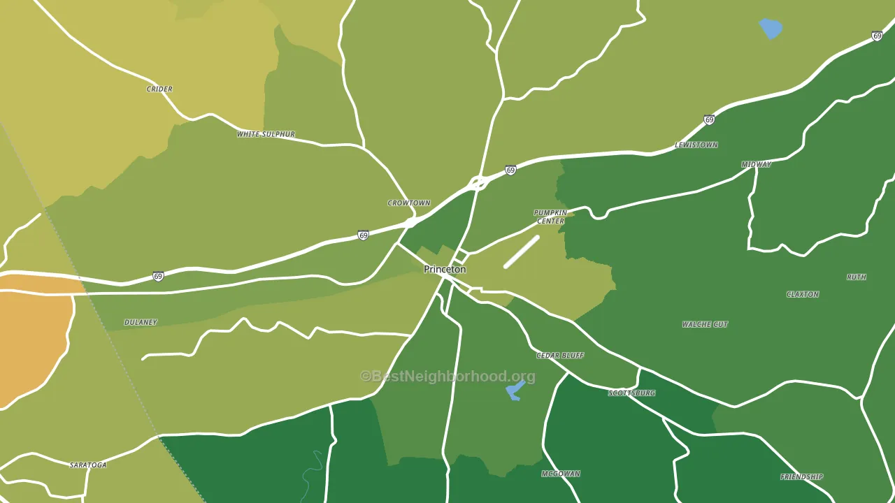 Princeton, KY block-group voter-turnout map