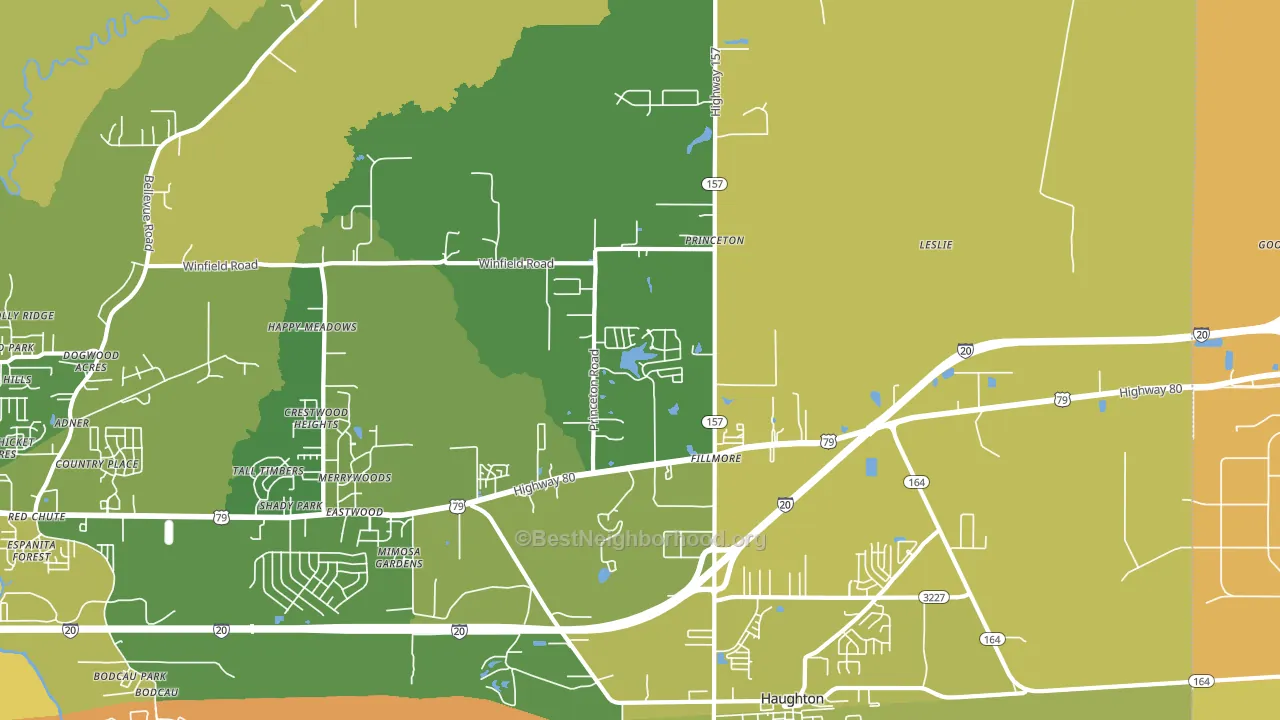 Princeton, LA block-group voter-turnout map