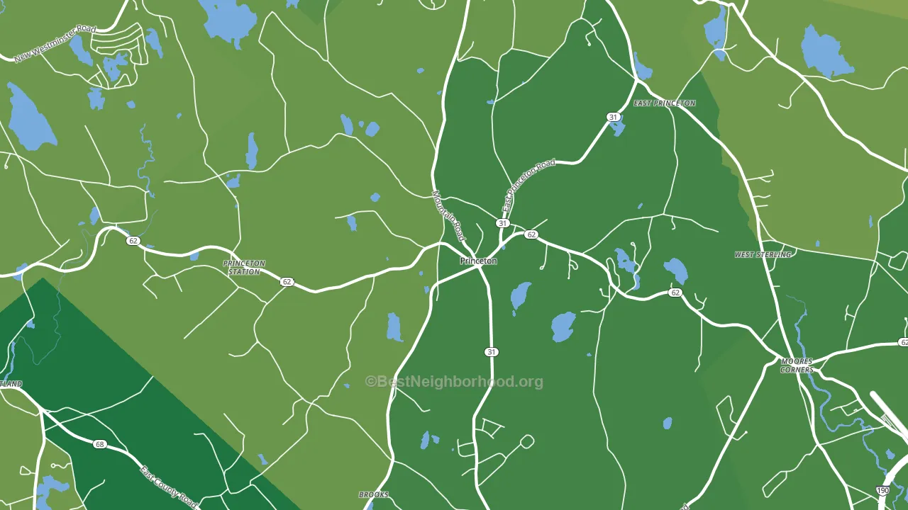Princeton, MA block-group voter-turnout map