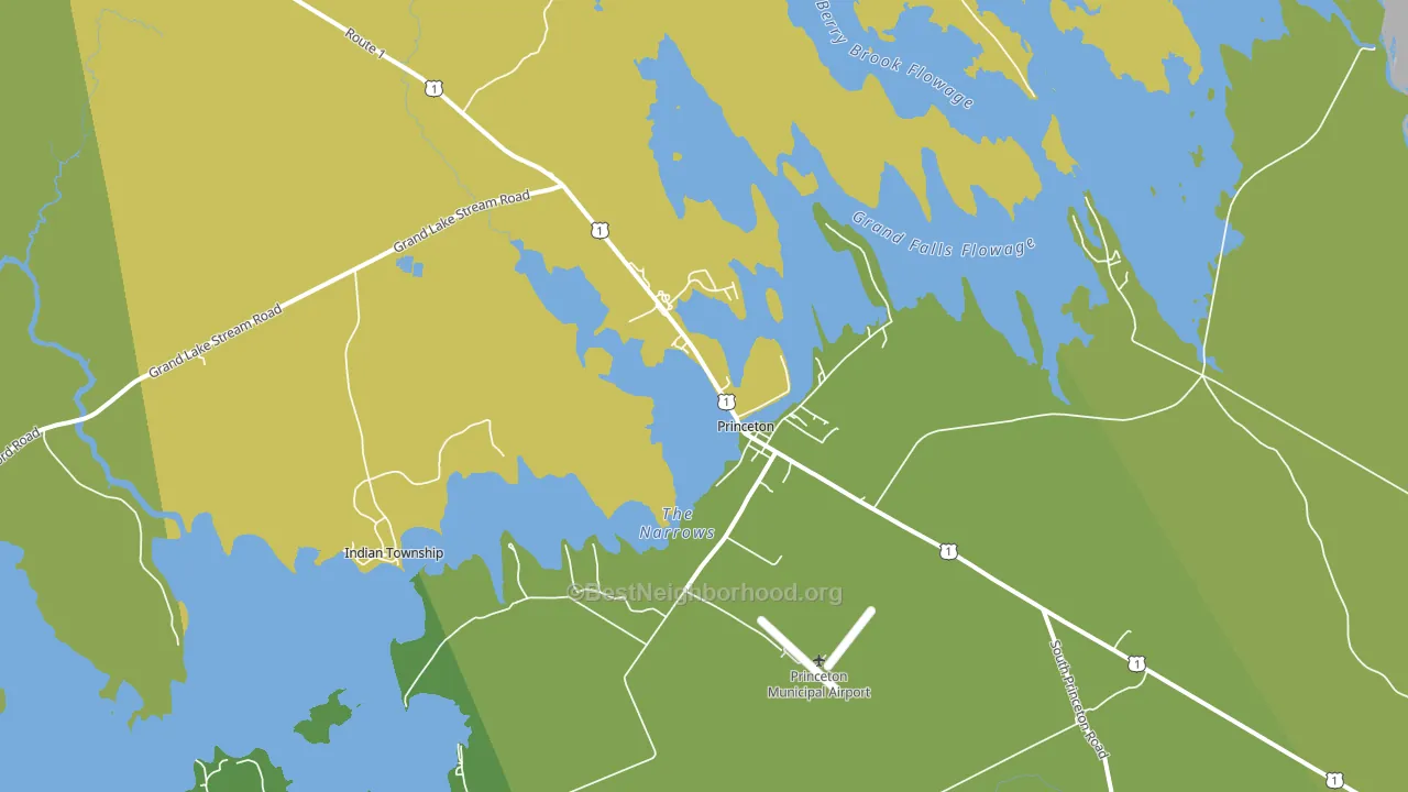 Princeton, ME block-group voter-turnout map