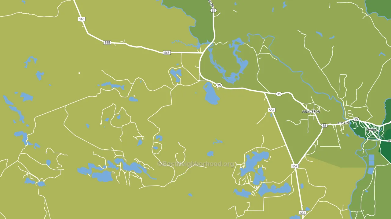Princeton, MI block-group voter-turnout map