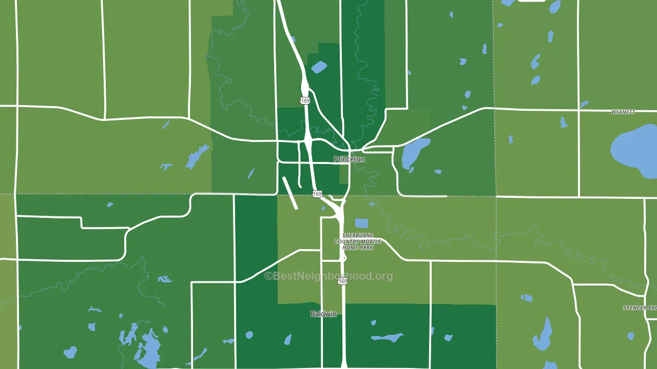 Princeton, MN block-group voter-turnout map