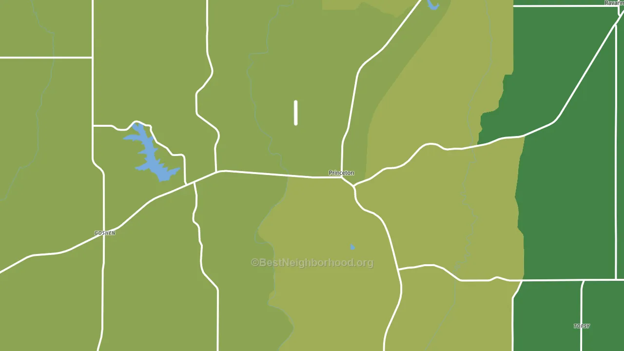 Princeton, MO block-group voter-turnout map