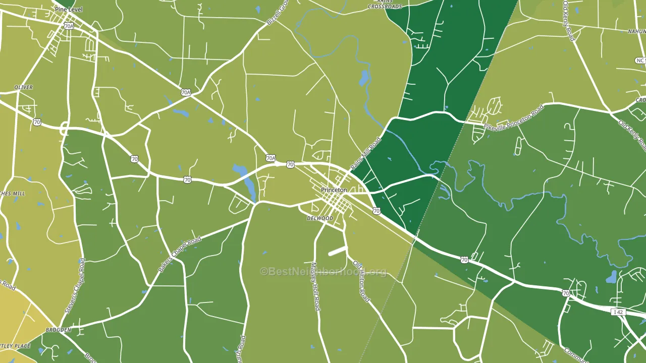 Princeton, NC block-group voter-turnout map
