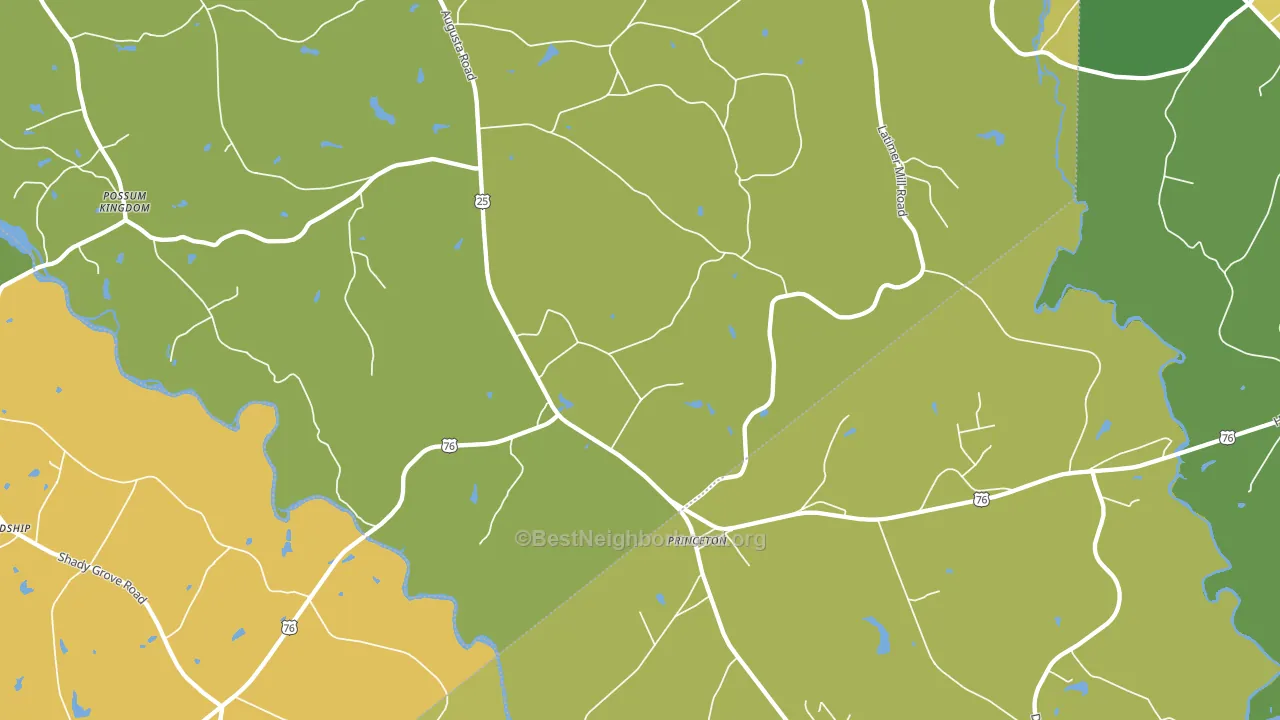 Princeton, SC block-group voter-turnout map