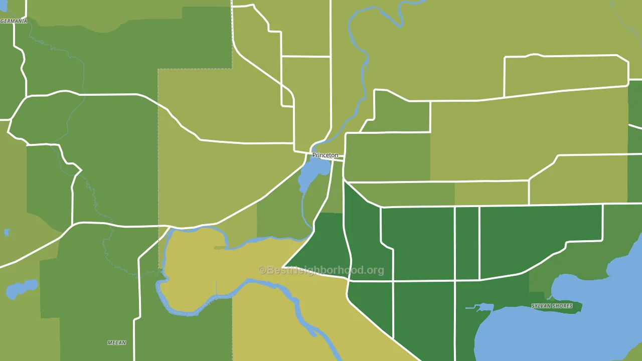 Princeton, WI block-group voter-turnout map