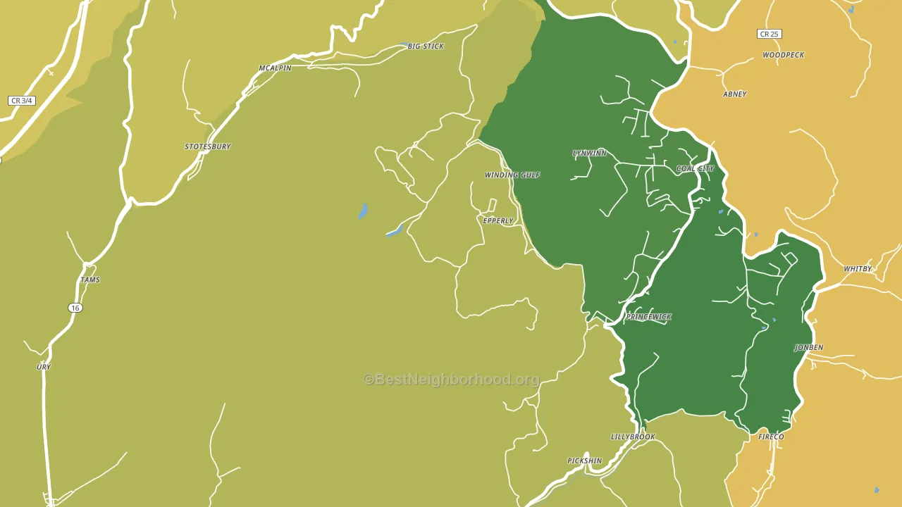 Princewick, WV block-group voter-turnout map