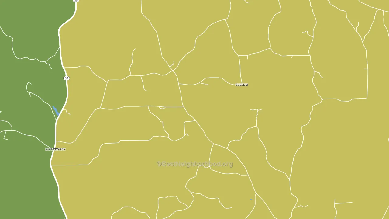 Prismatic, MS block-group voter-turnout map