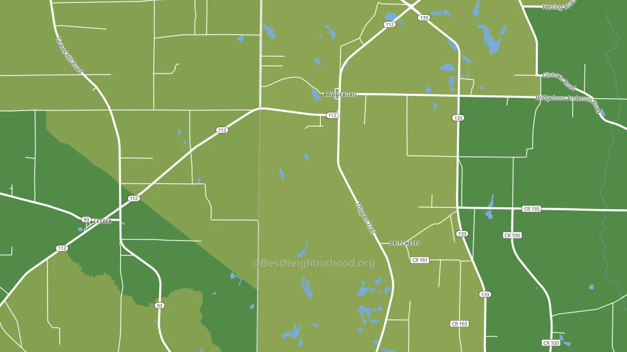Pritchetts, GA block-group voter-turnout map
