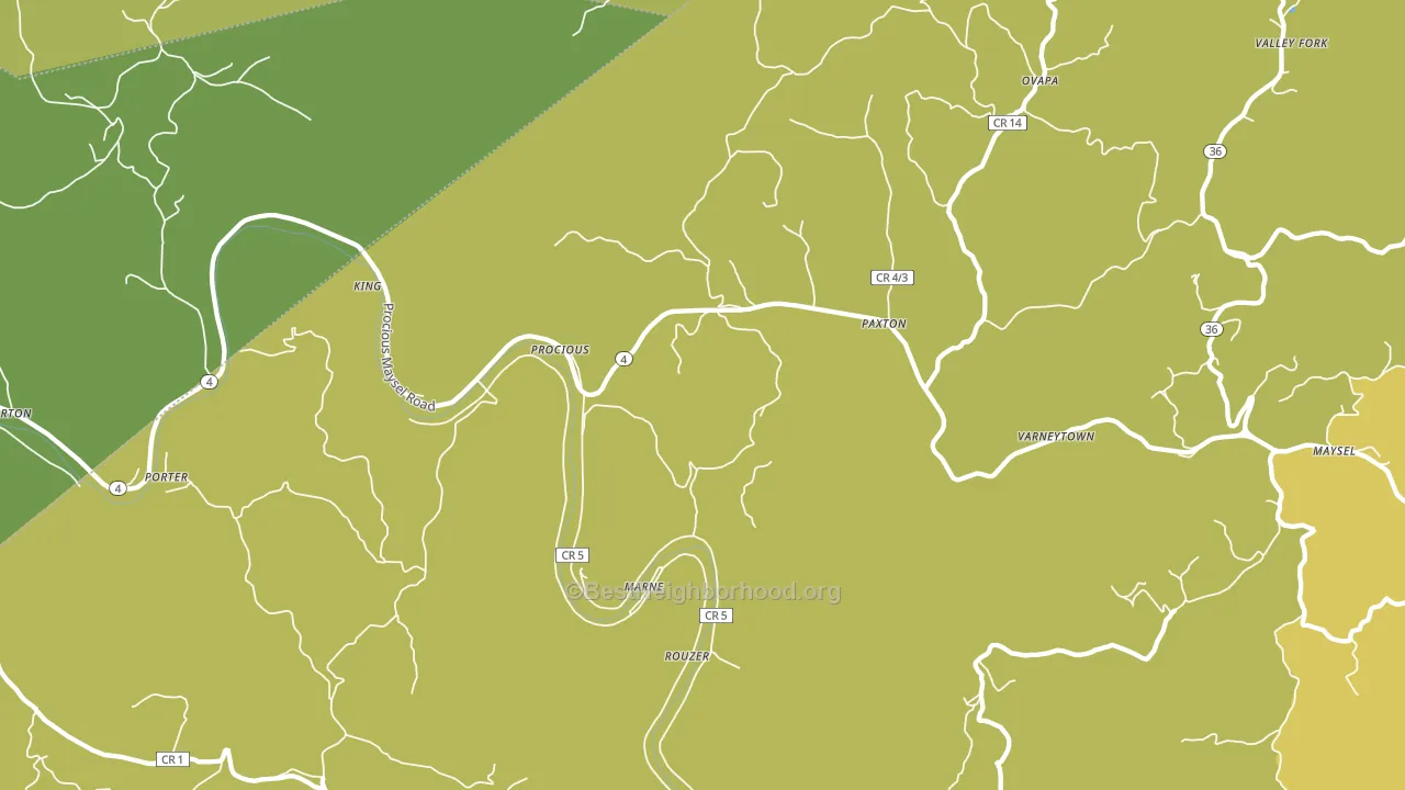 Procious, WV block-group voter-turnout map