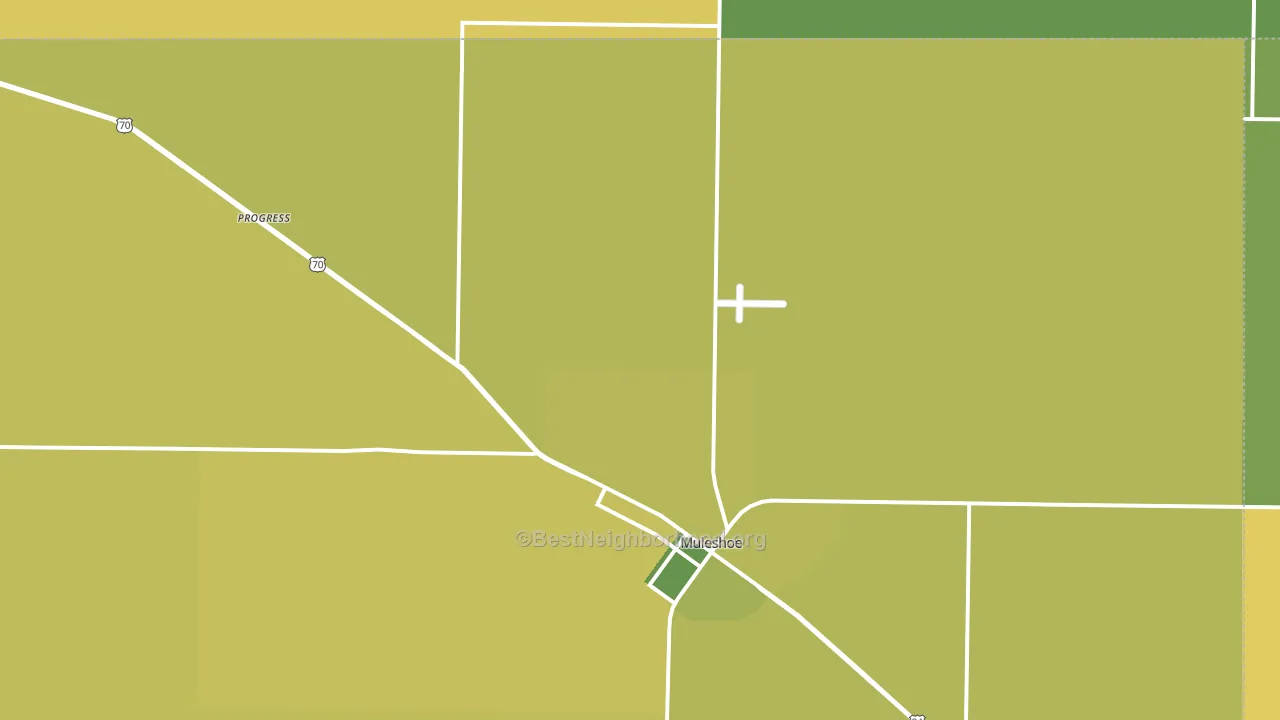 Progress, TX block-group voter-turnout map