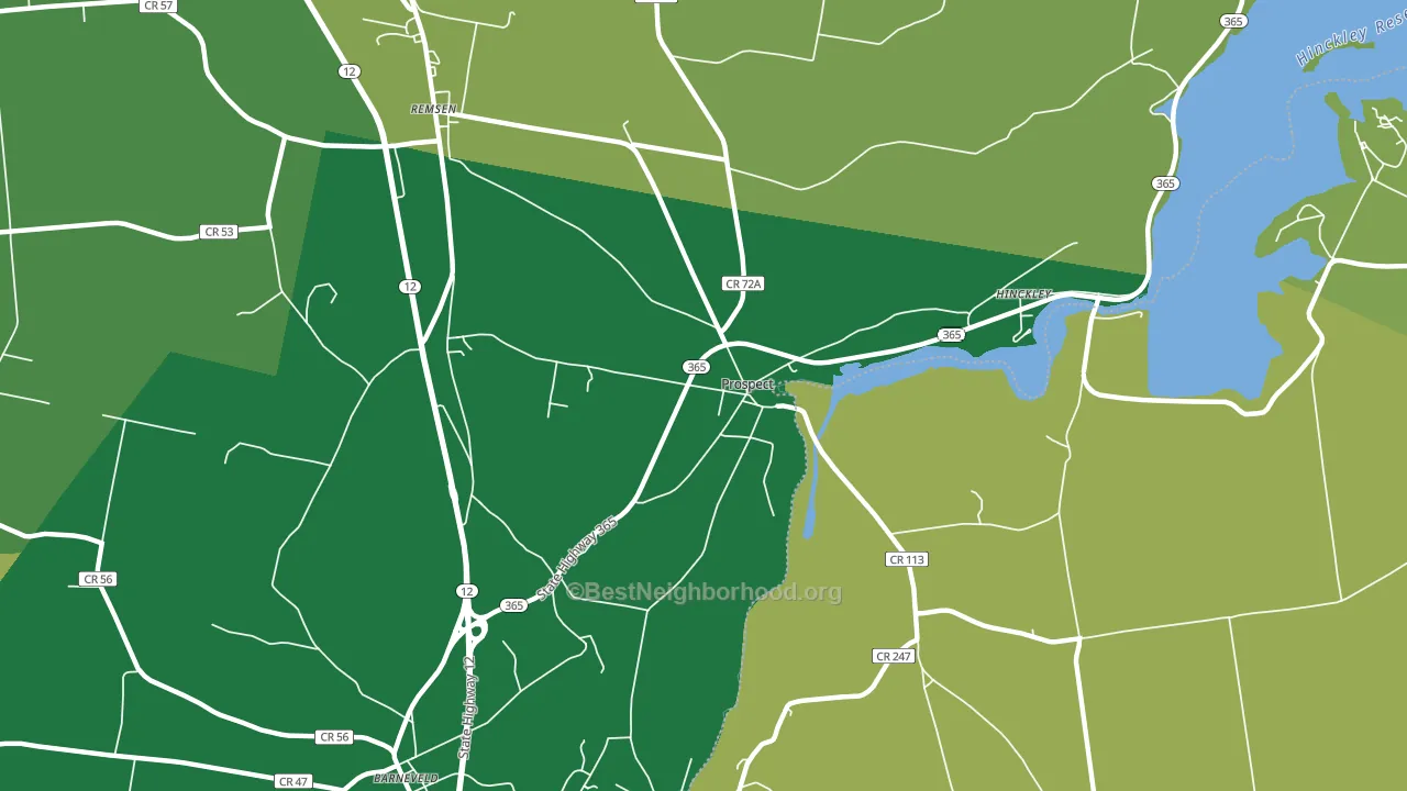 Prospect, NY block-group voter-turnout map