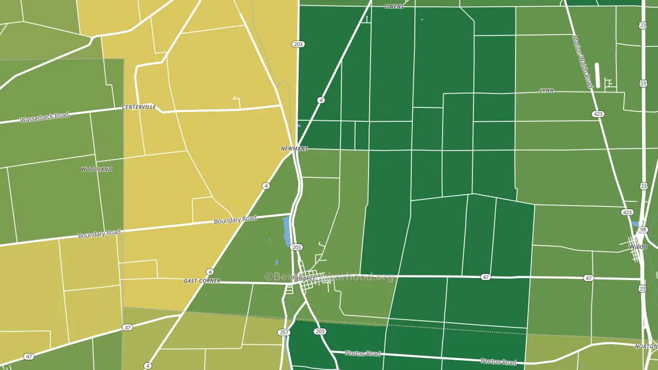 Prospect, OH block-group voter-turnout map