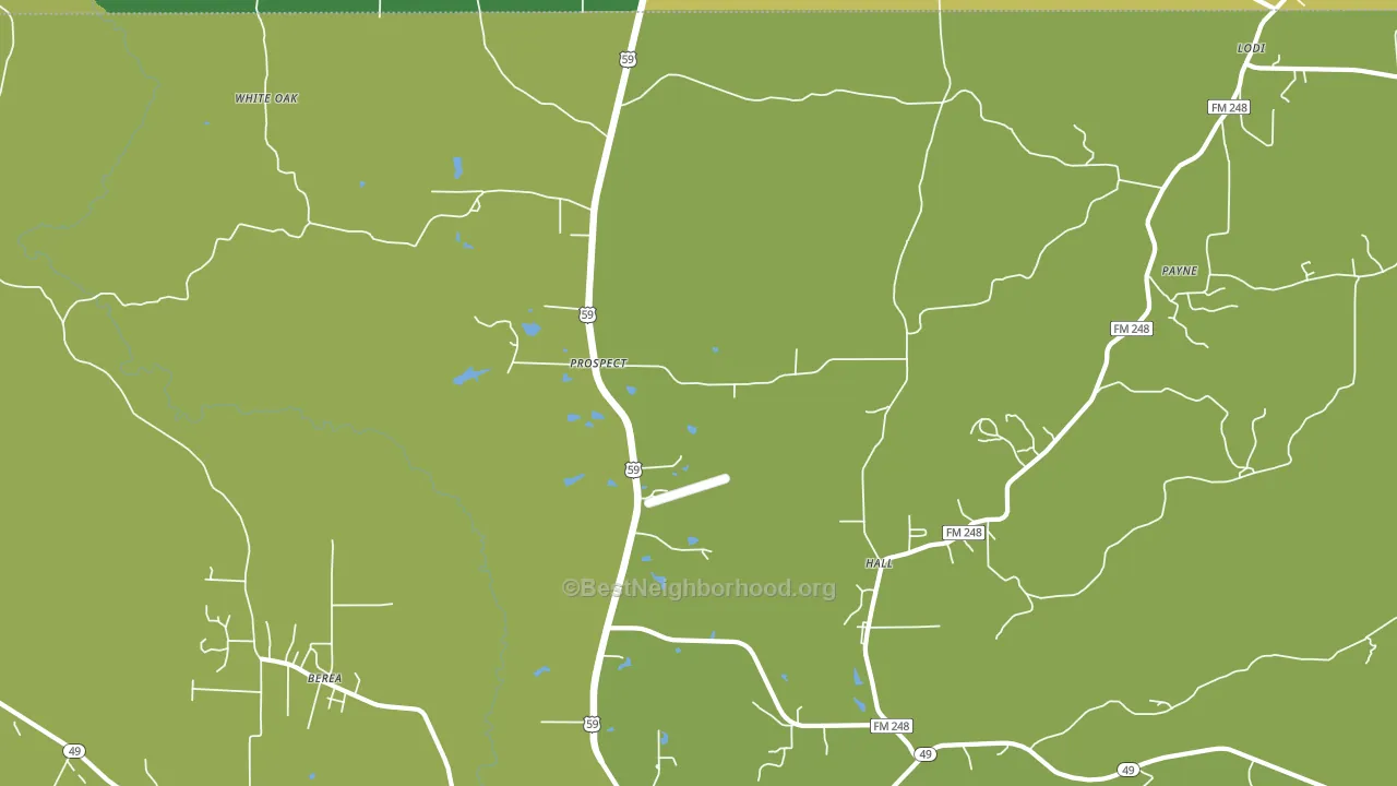 Prospect, TX block-group voter-turnout map