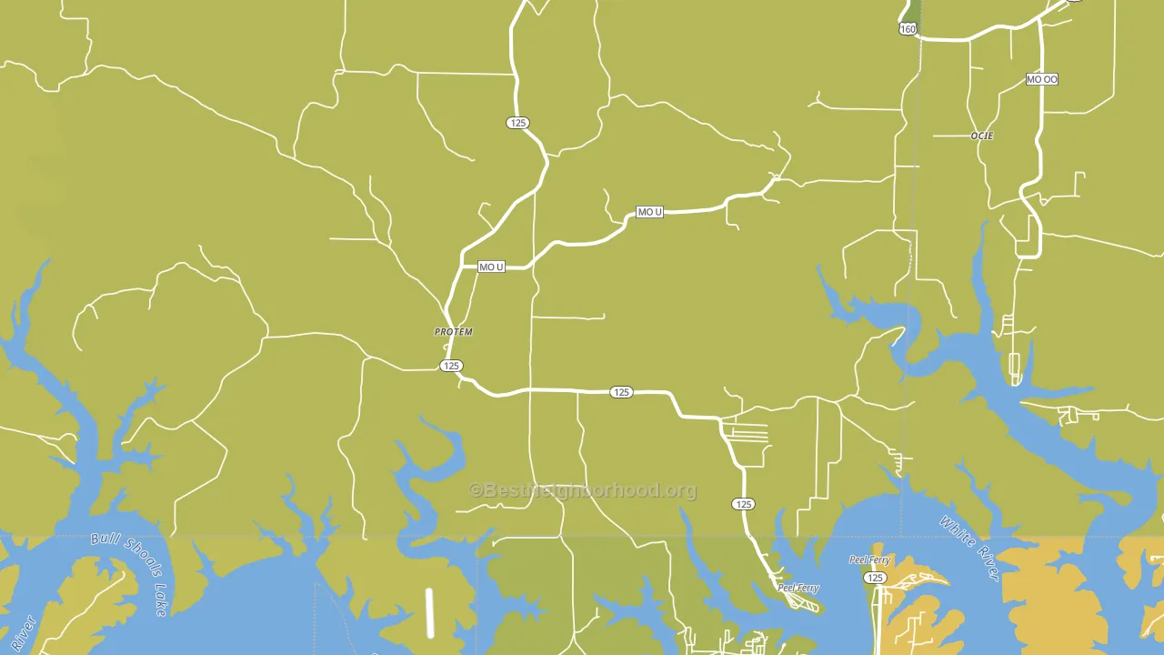Protem, MO block-group voter-turnout map