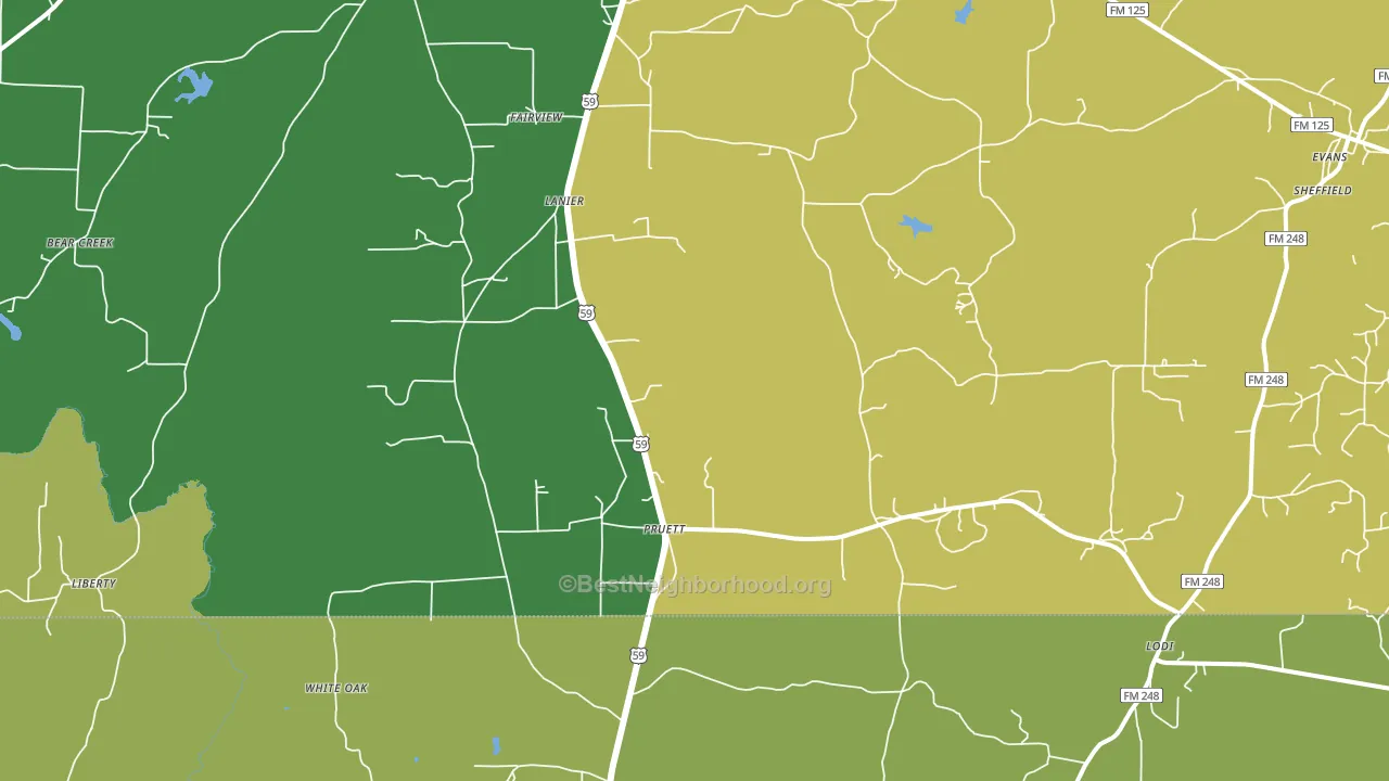 Pruett, TX block-group voter-turnout map