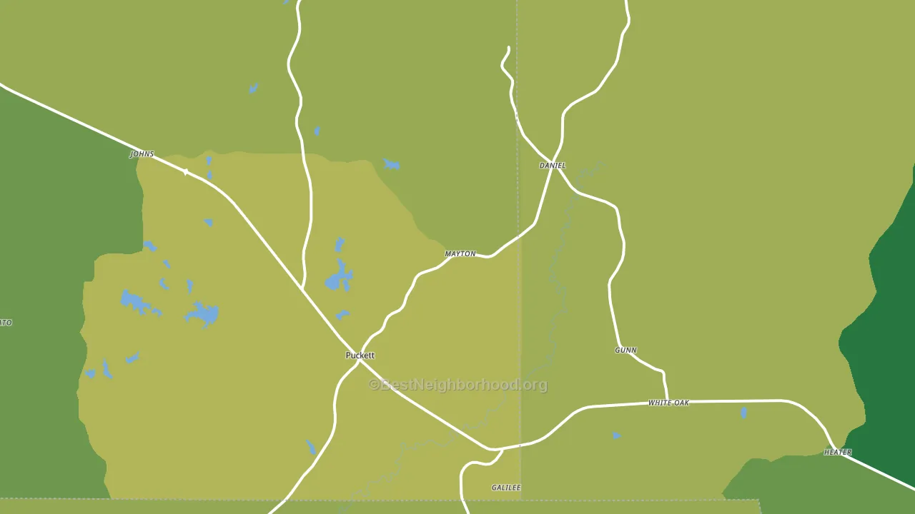 Puckett, MS block-group voter-turnout map