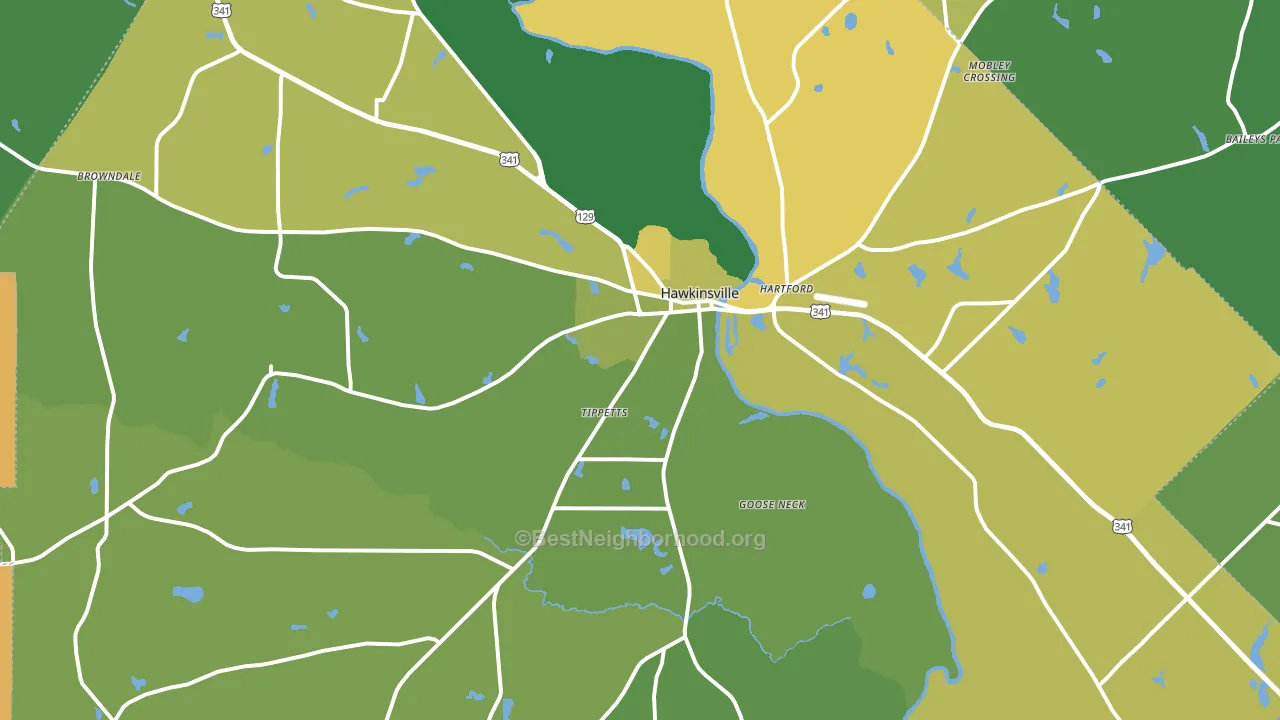 Pulaski County, GA block-group voter-turnout map