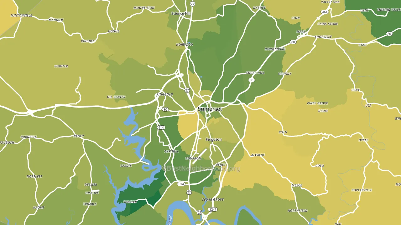 Pulaski County, KY block-group voter-turnout map