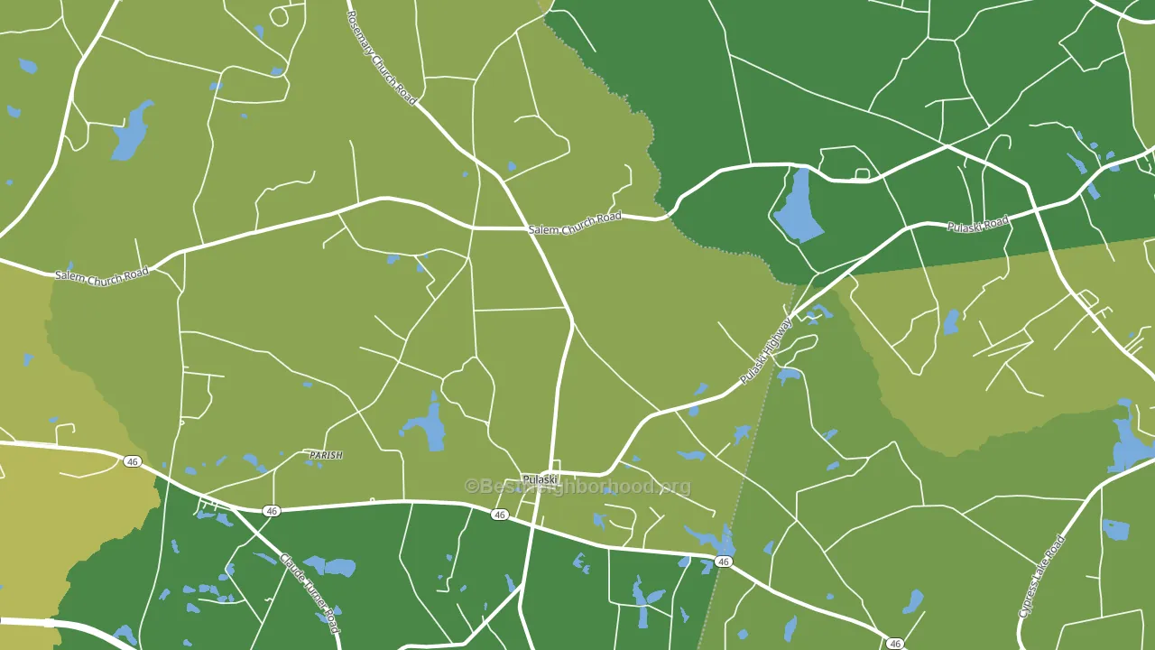Pulaski, GA block-group voter-turnout map
