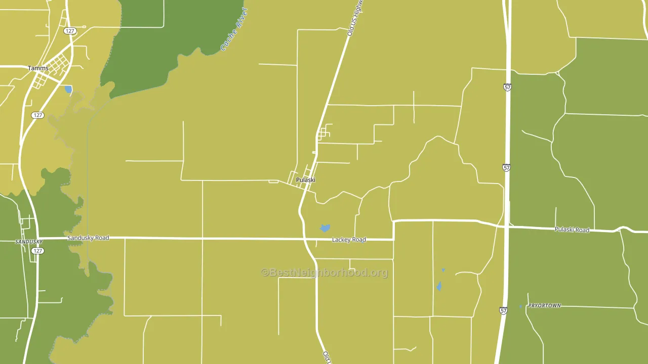 Pulaski, IL block-group voter-turnout map