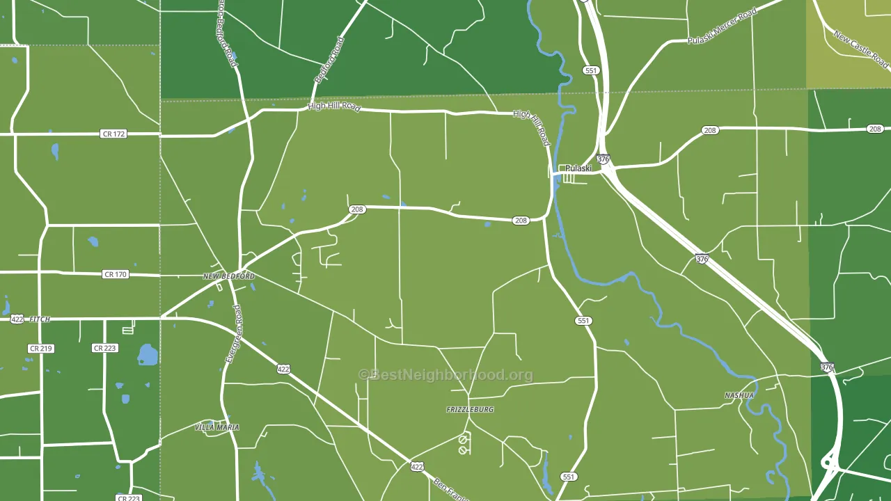 Pulaski, PA block-group voter-turnout map