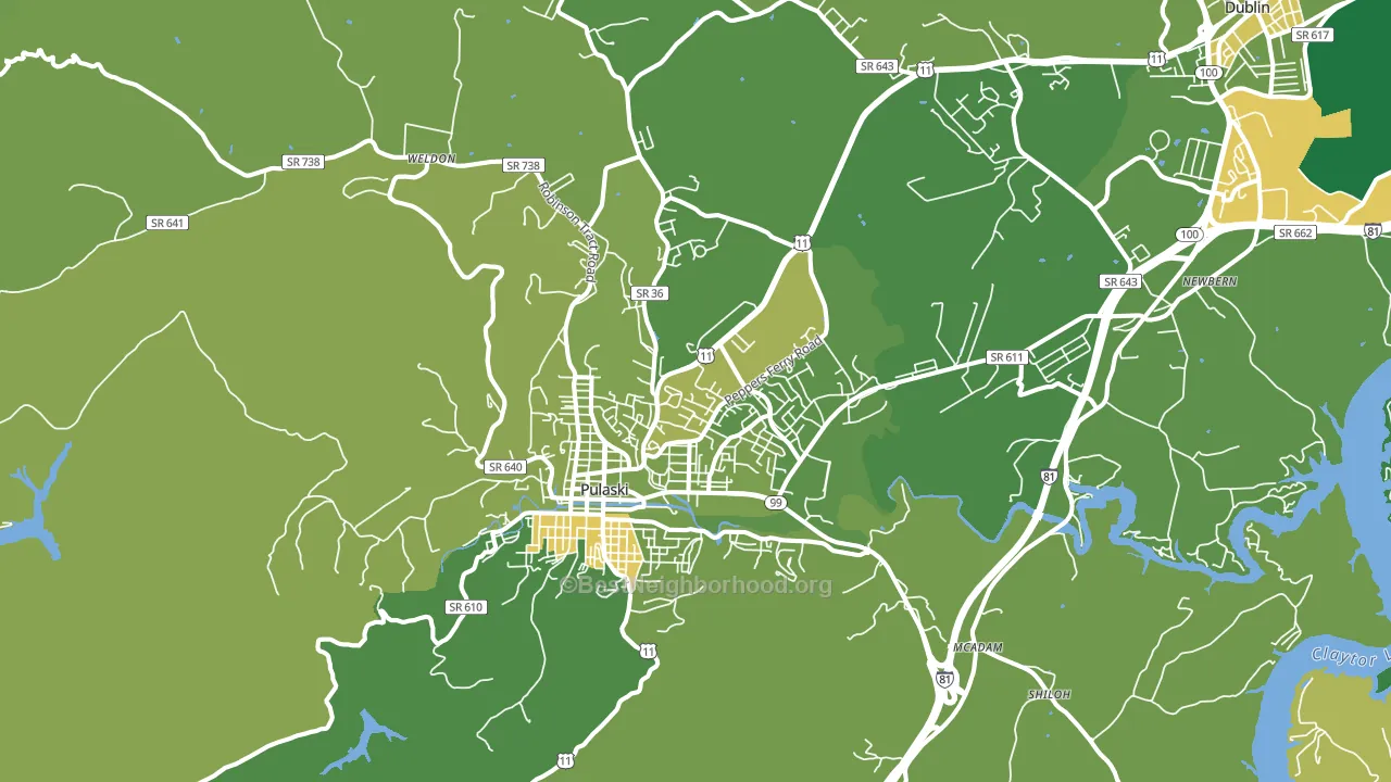 Pulaski, VA block-group voter-turnout map