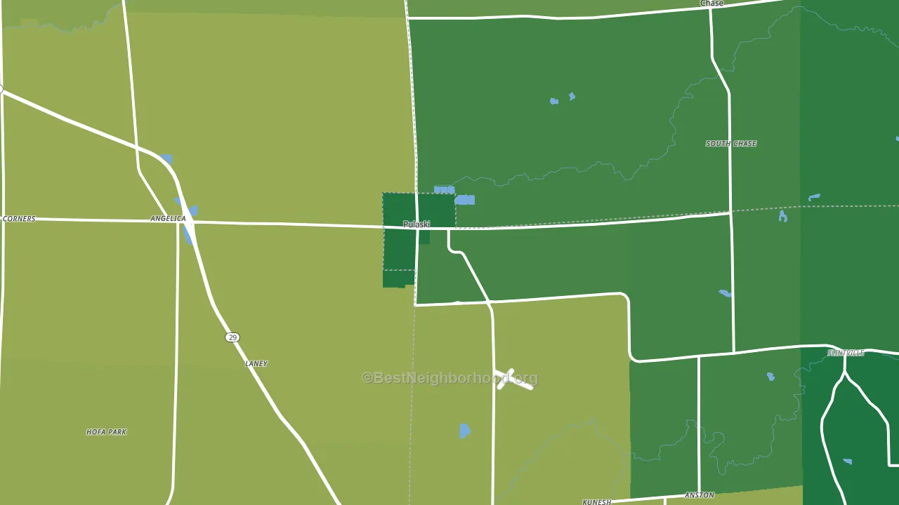 Pulaski, WI block-group voter-turnout map