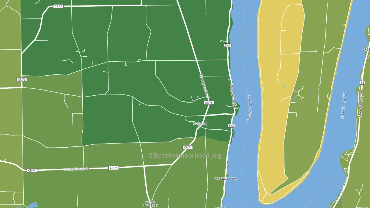 Pulteney, NY block-group voter-turnout map