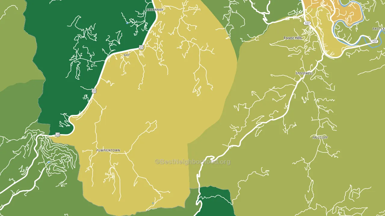 Pumpkintown, NC block-group voter-turnout map