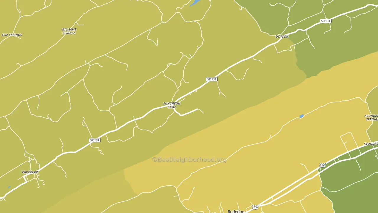 Puncheon Camp, TN block-group voter-turnout map