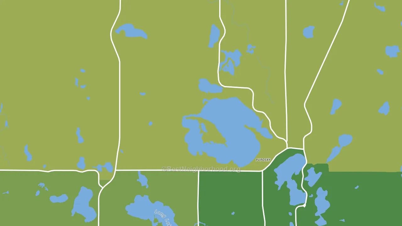 Puposky, MN block-group voter-turnout map