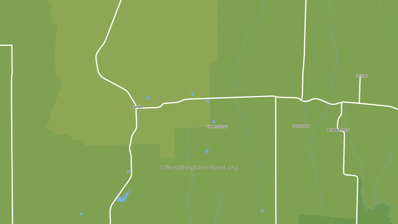 Purdin, MO block-group voter-turnout map