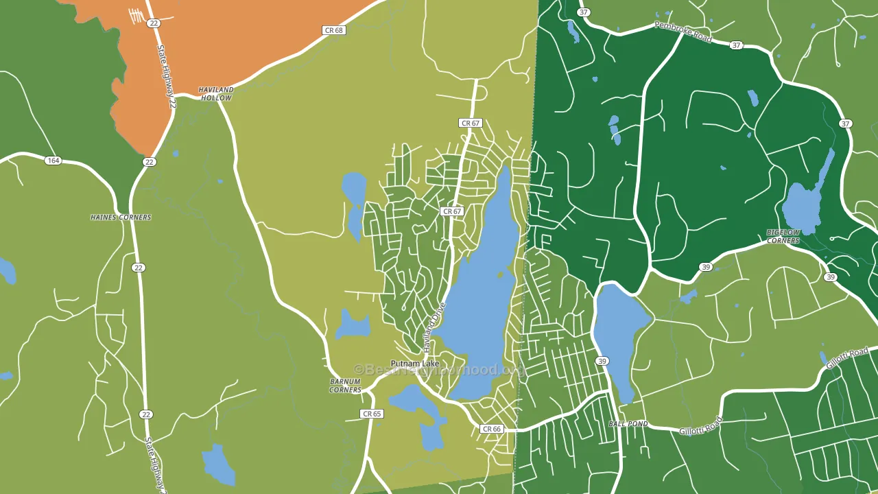 Putnam Lake, Patterson, NY block-group voter-turnout map