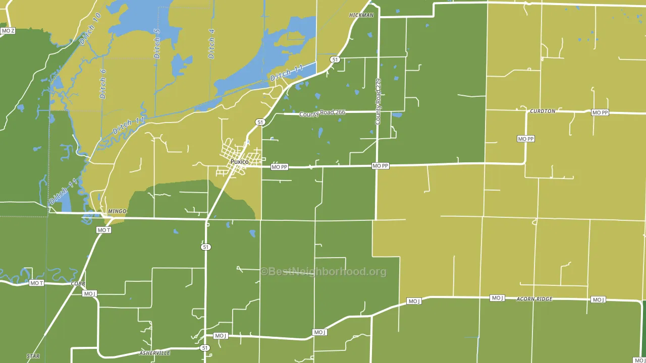 Puxico, MO block-group voter-turnout map