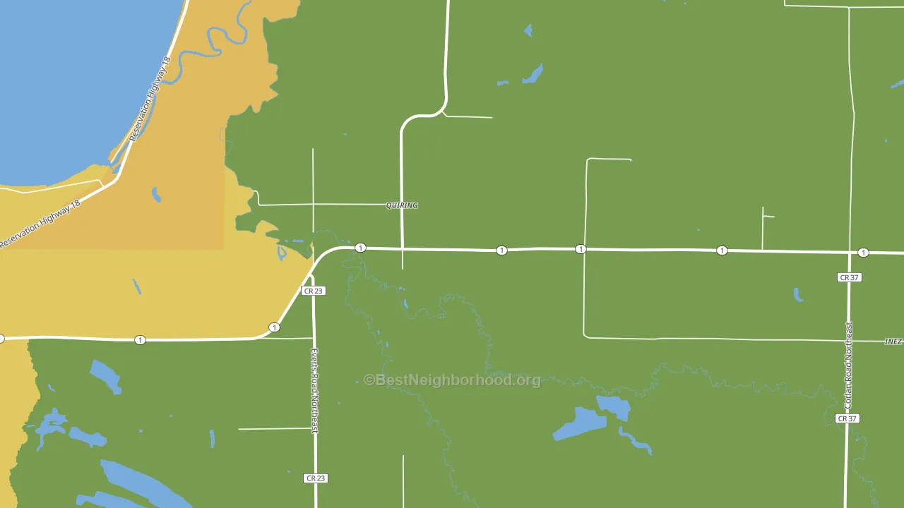 Quiring, MN block-group voter-turnout map