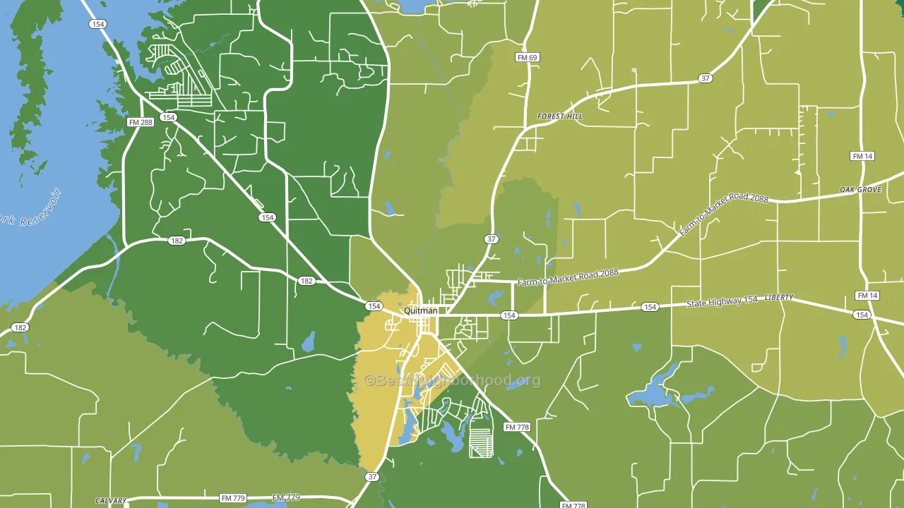 Quitman, TX block-group voter-turnout map
