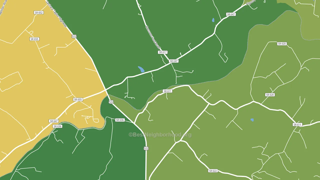 Raccoon Ford, VA block-group voter-turnout map