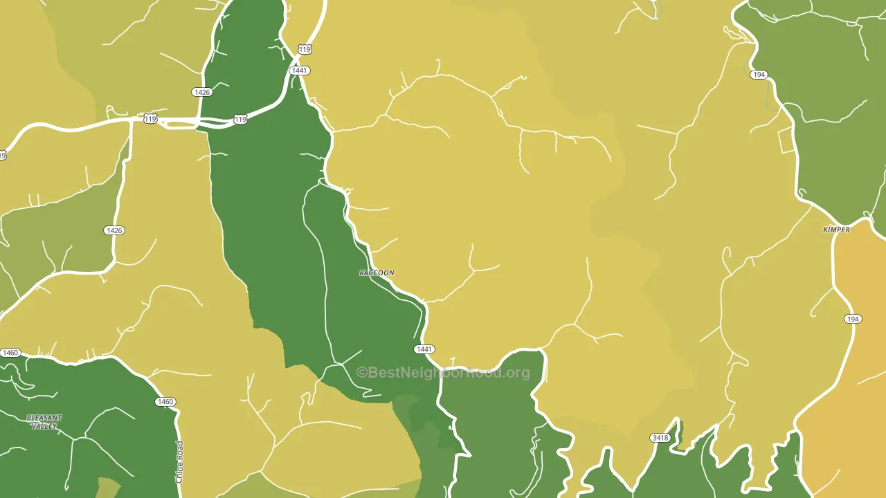 Raccoon, KY block-group voter-turnout map