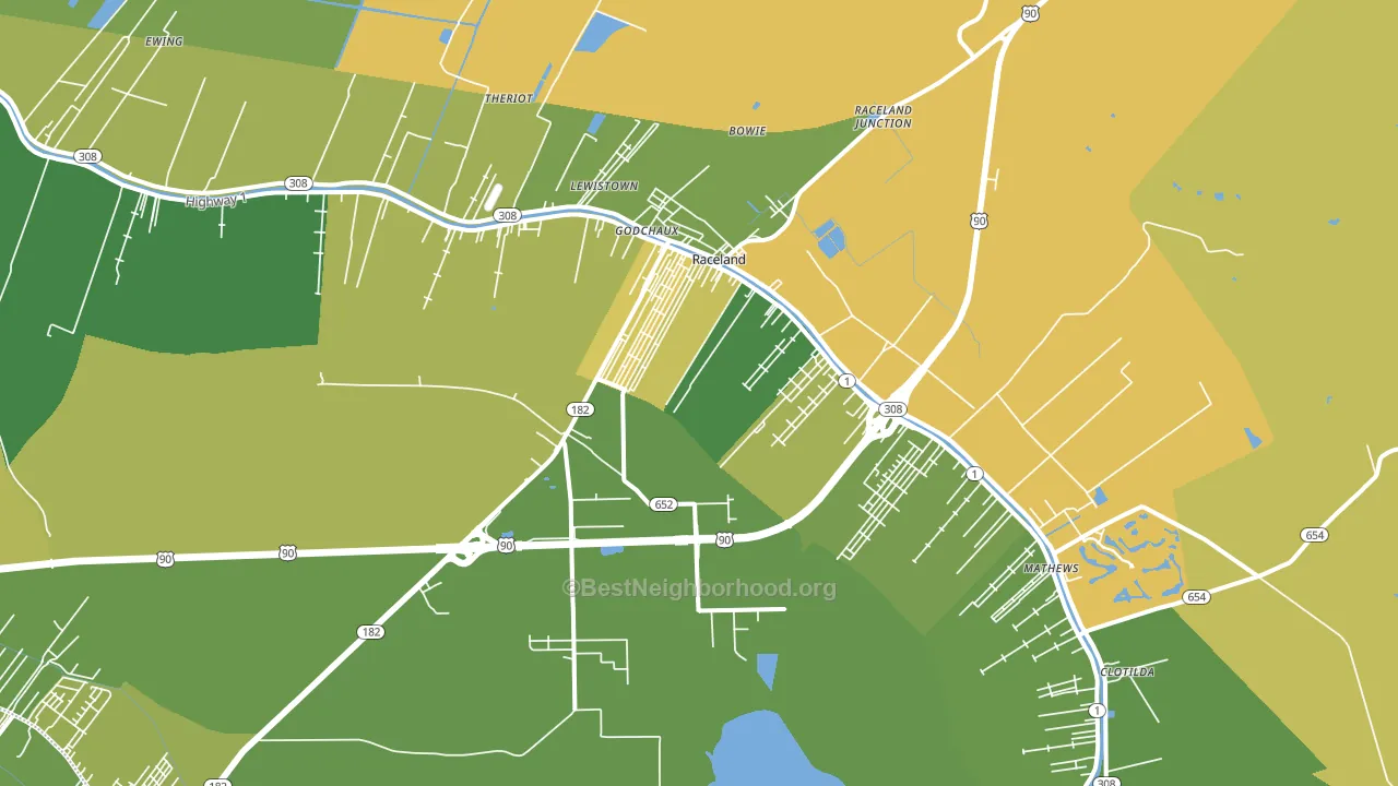 Raceland, LA block-group voter-turnout map