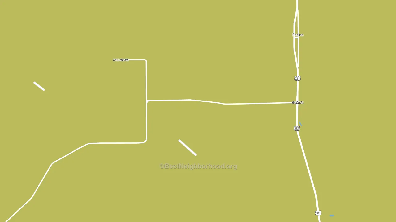 Rachal, TX block-group voter-turnout map