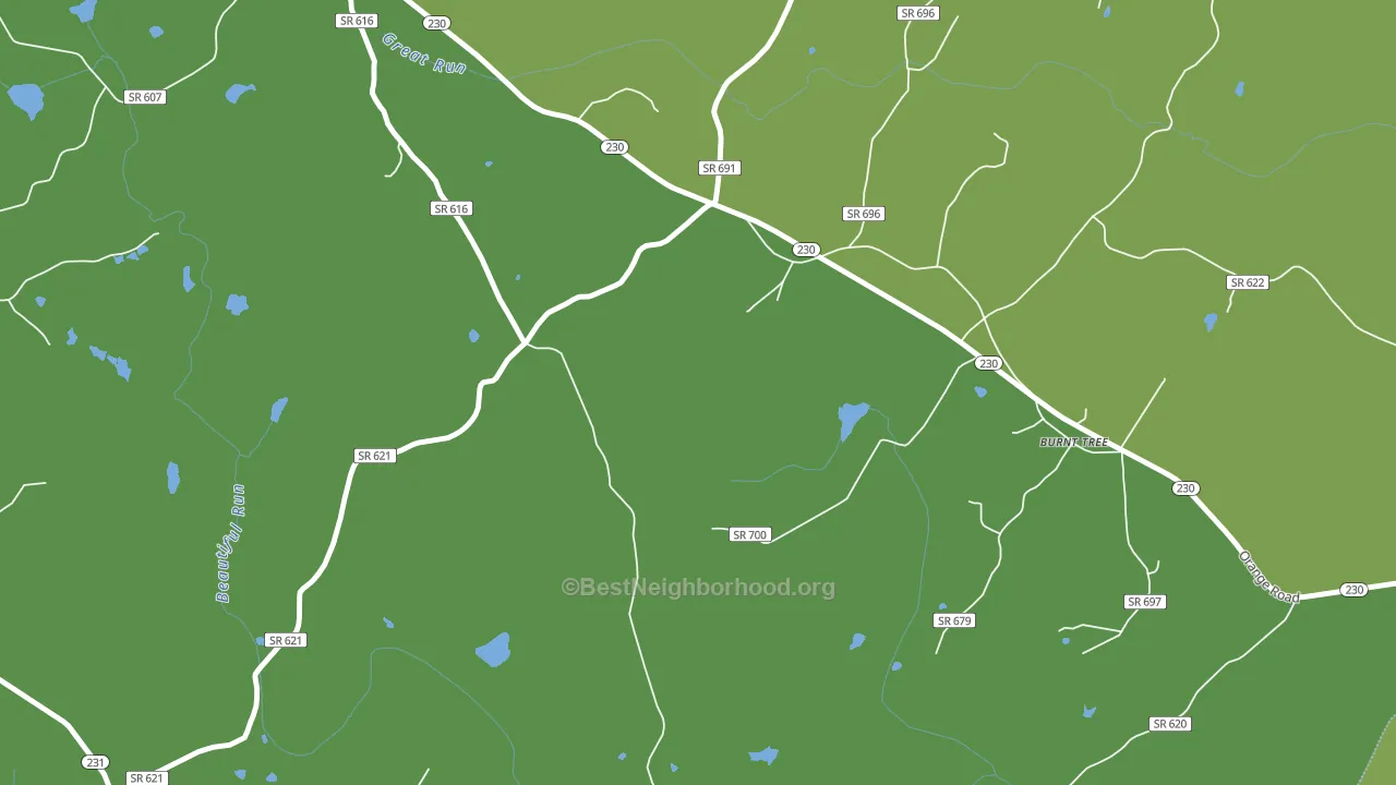 Radiant, VA block-group voter-turnout map