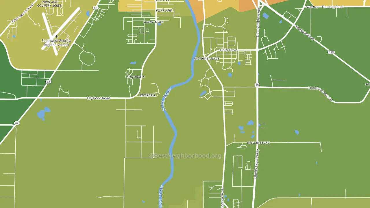 Radium Springs, GA block-group voter-turnout map