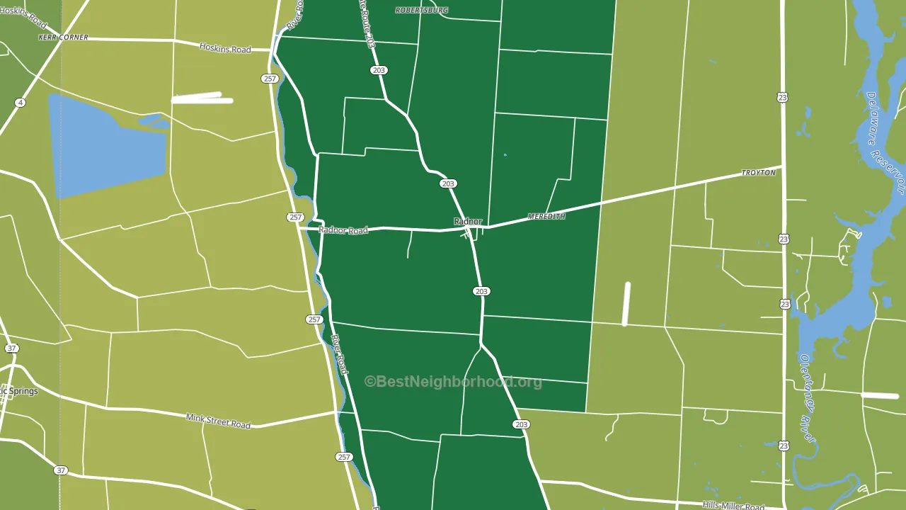 Radnor, OH block-group voter-turnout map